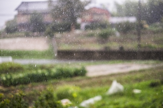 雨